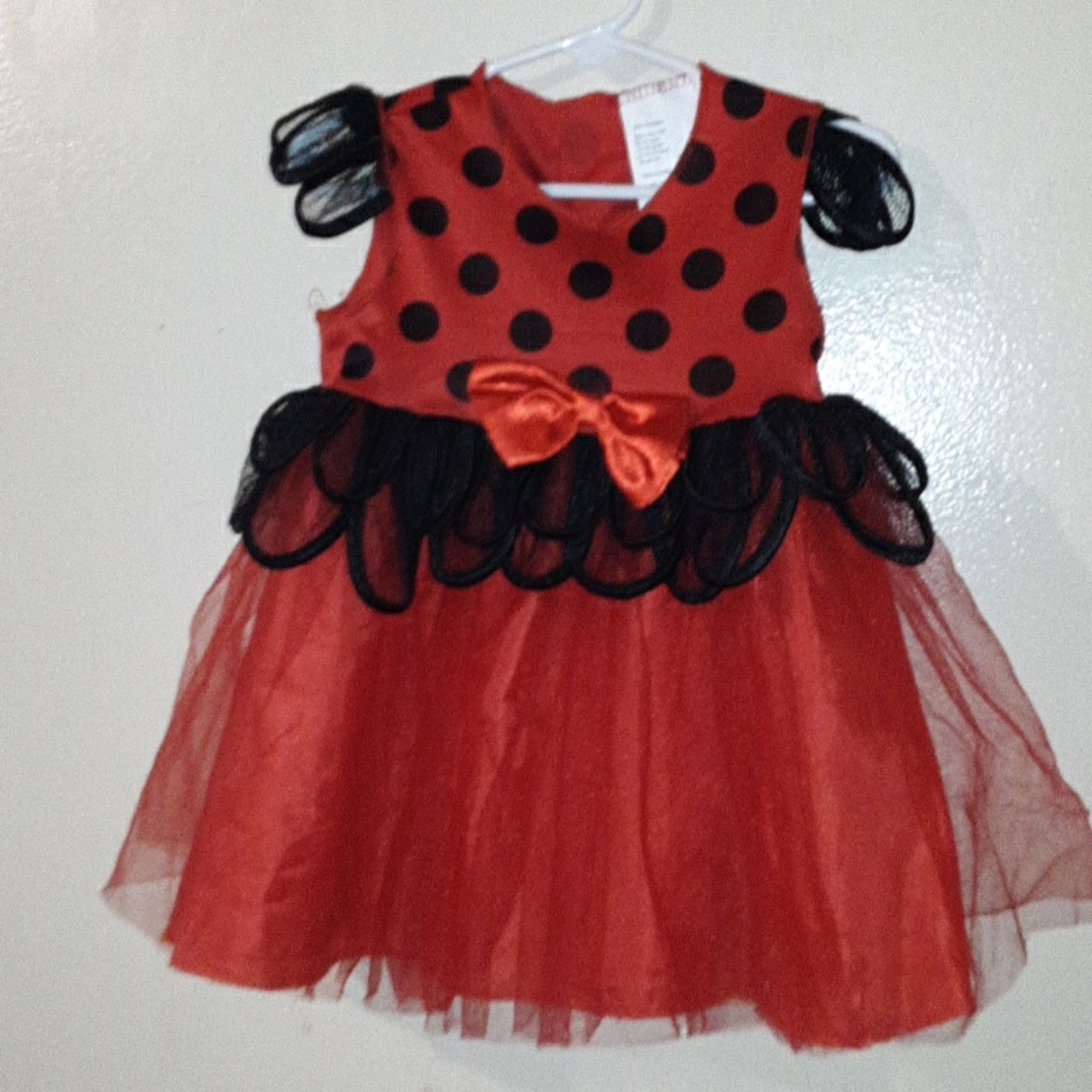 Ladybug tutu dress